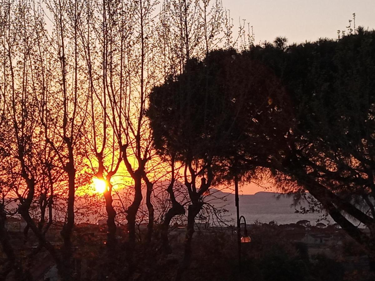 Il Platano Bed & Breakfast Piano di Sorrento Dış mekan fotoğraf