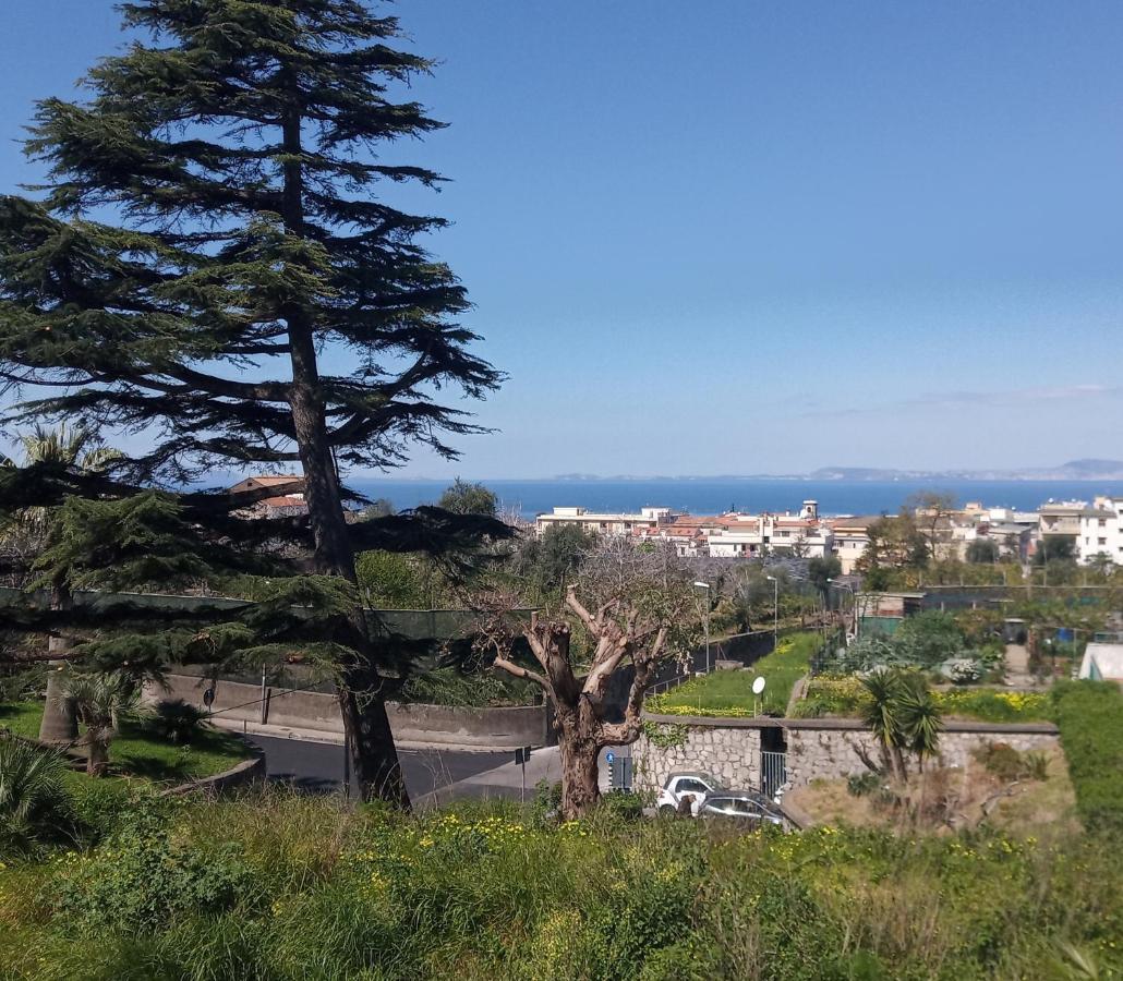 Il Platano Bed & Breakfast Piano di Sorrento Dış mekan fotoğraf