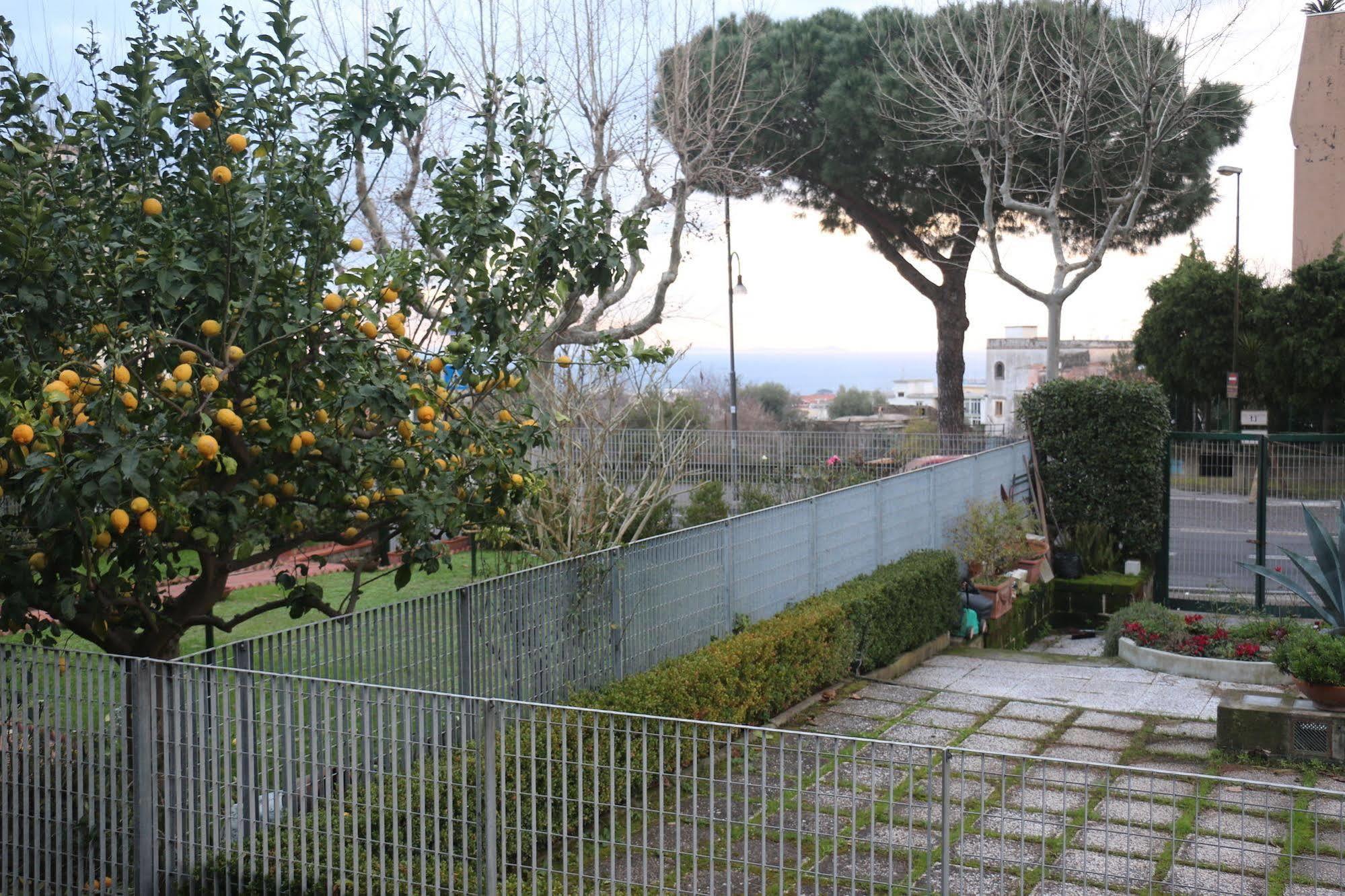 Il Platano Bed & Breakfast Piano di Sorrento Dış mekan fotoğraf
