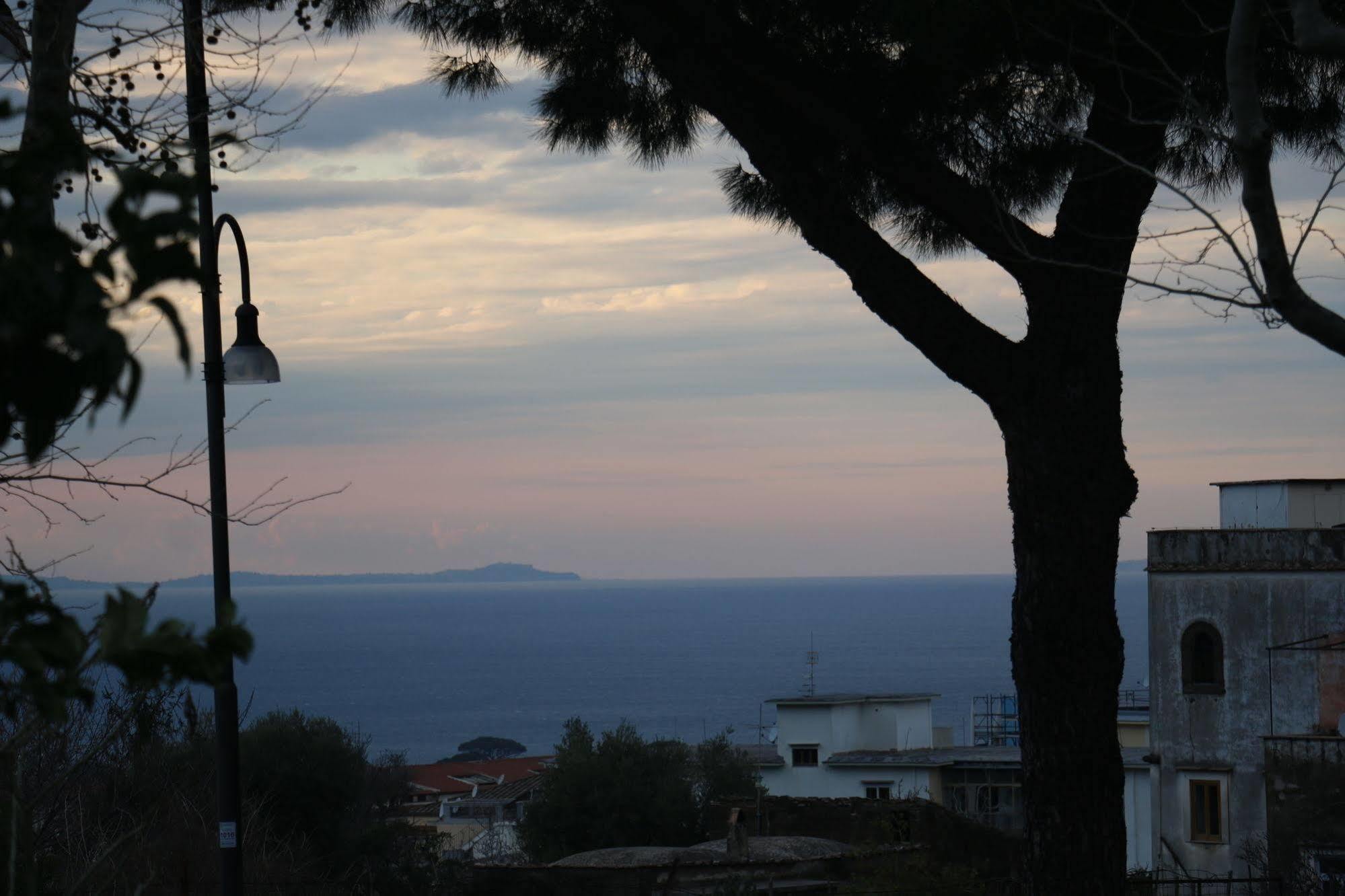 Il Platano Bed & Breakfast Piano di Sorrento Dış mekan fotoğraf